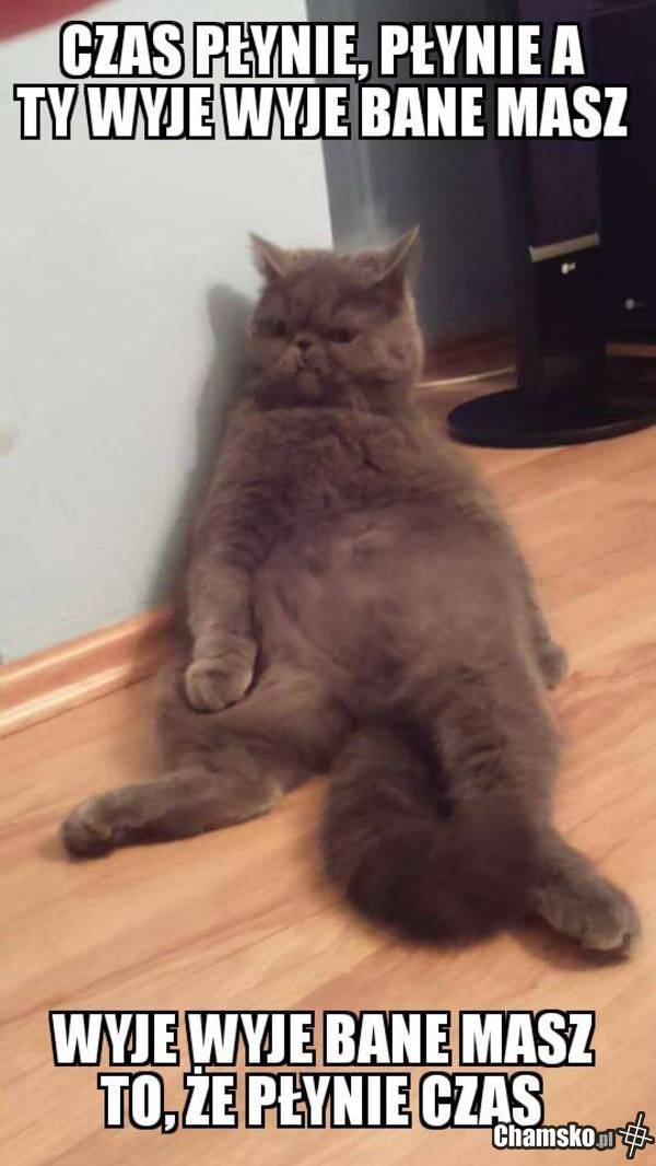 Ted