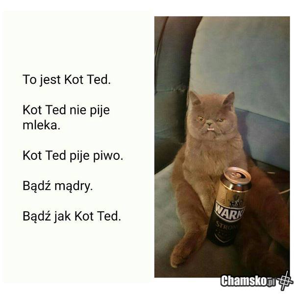 Bądź jak Ted