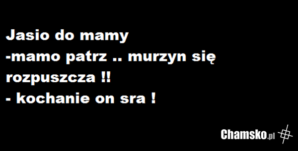Murzyn ..