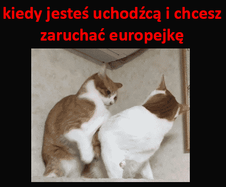 Podryw