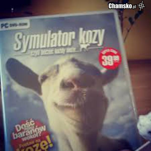 symulator życia w rodzinie
