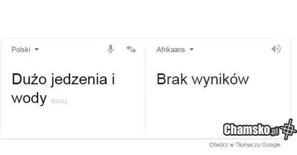 Tłumacz