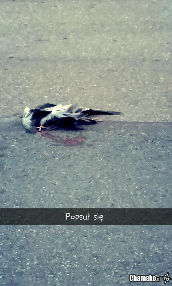 Kurde no..jakiś felerny :/