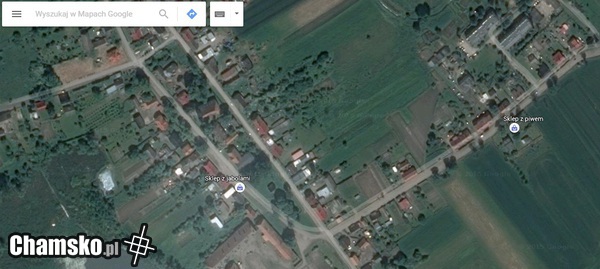 Google najlepiej poprowadzi