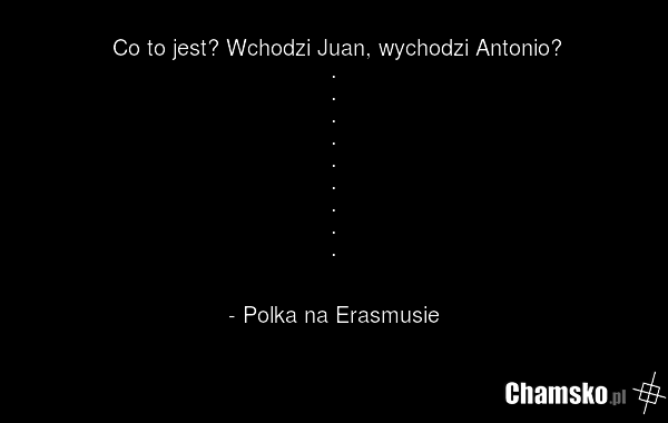 Co to jest? Wchodzi Juan, wychodzi Antonio? . . . . . . . . . - Polka na Erasmusie