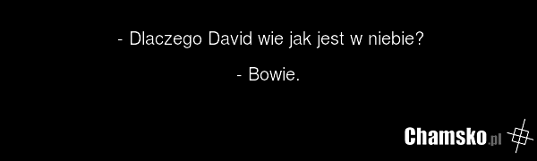 - Dlaczego David wie jak jest w niebie? - Bowie.