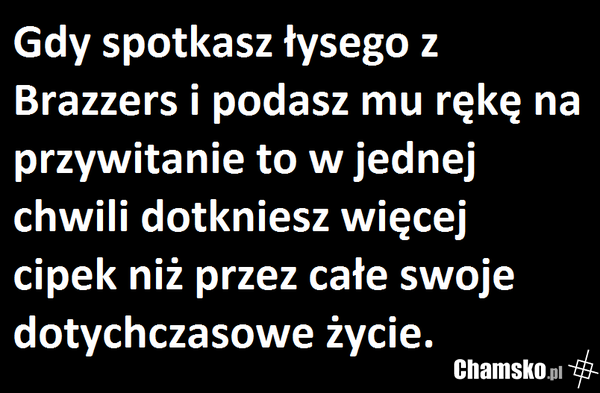 Łysy z Brazzers