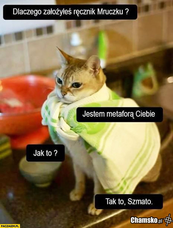 mruczku ?