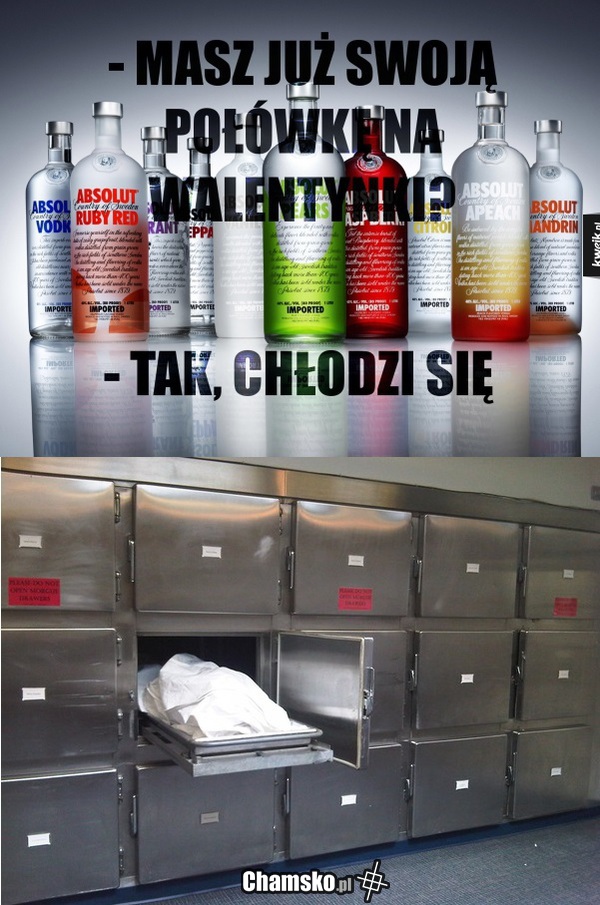 Druga połówka