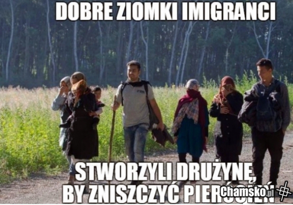 Dobre ziomki imigranci