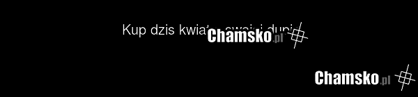Kup dzis kwiaty, swojej dupie