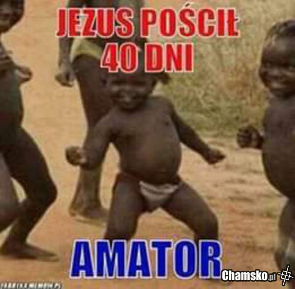 Amator