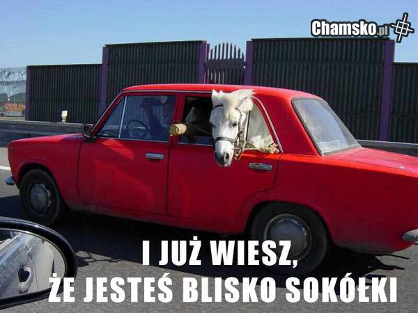 Sokółka
