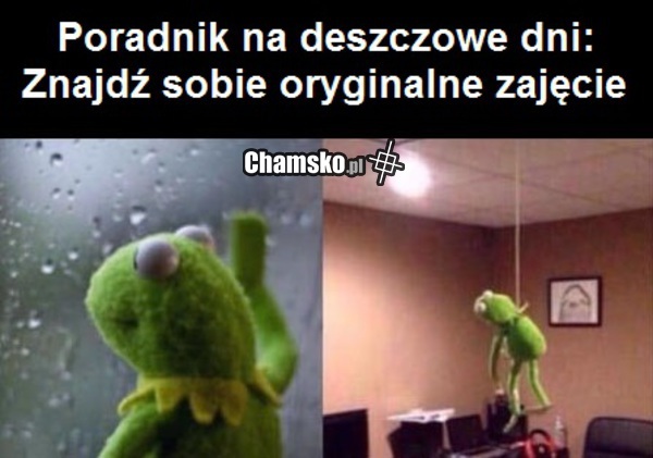 Poradnik