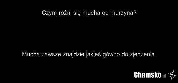 Czym różni się mucha od murzyna? Mucha zawsze znajdzie jakieś gówno do zjedzenia