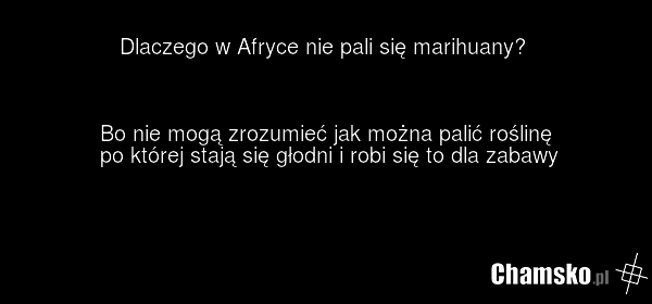 Dlaczego w Afryce nie pali się marihuany? Bo nie mogą zrozumieć jak można palić roślinę po której stają się głodni i robi się to dla zabawy