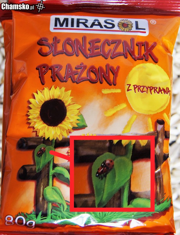 Czy ktoś to widzi oprócz mnie?