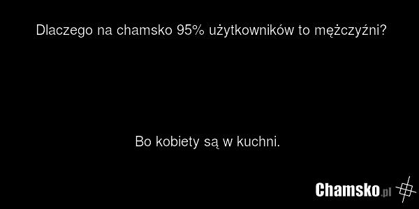 Dlaczego na chamsko 95% użytkowników to mężczyźni? Bo kobiety są w kuchni.