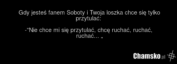 Gdy jesteś fanem Soboty i Twoja loszka chce się tylko przytulać: -“Nie chce mi się przytulać, chcę ruchać, ruchać, ruchać... „