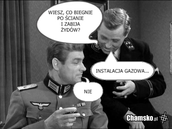HANS