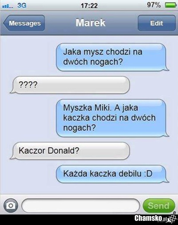 kaczki