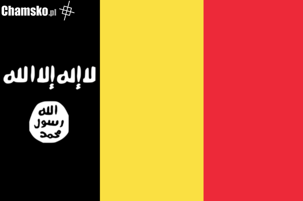 Nowa flaga Belgii