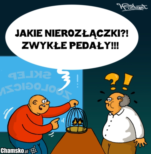 Nierozłączki