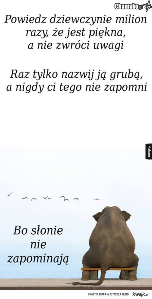 Prawda