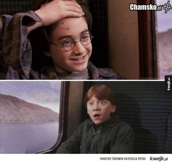 Towarzysz Harry