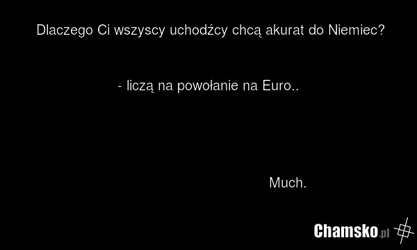 Dlaczego Ci wszyscy uchodźcy chcą akurat do Niemiec? - liczą na powołanie na Euro.. Much.