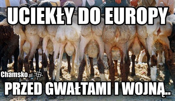 uciekinierki