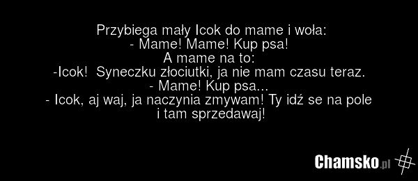 Przybiega mały Icok do mame i woła: - Mame! Mame! Kup psa! A mame na to: -Icok! Syneczku złociutki, ja nie mam czasu teraz. - Mame! Kup psa... - Icok, aj waj, ja naczynia zmywam! Ty idź se na pole i tam sprzedawaj!