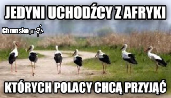 uchodźcy
