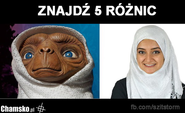 5 różnic