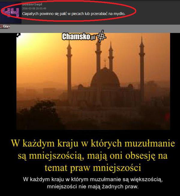 Kozak w necie, pisda w świecie.