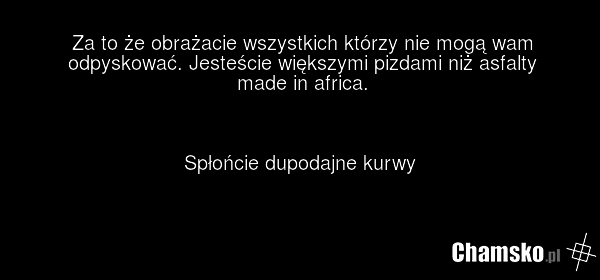 Za to że obrażacie wszystkich którzy nie mogą wam odpyskować. Jesteście większymi pizdami niż asfalty made in africa. Spłońcie dupodajne kurwy