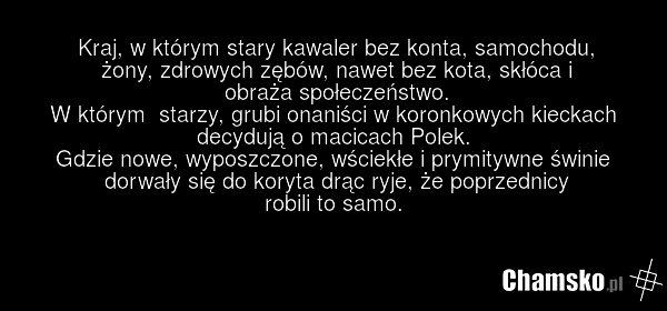 Kraj, w którym stary kawaler bez konta, samochodu, żony, zdrowych zębów, nawet bez kota, skłóca i obraża społeczeństwo. W którym starzy, grubi onaniści w koronkowych kieckach decydują o macicach Polek. Gdzie nowe, wyposzczone, wściekłe i prymitywne świnie dorwały się do koryta drąc ryje, że poprzed…