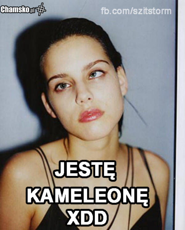 KAMELEO