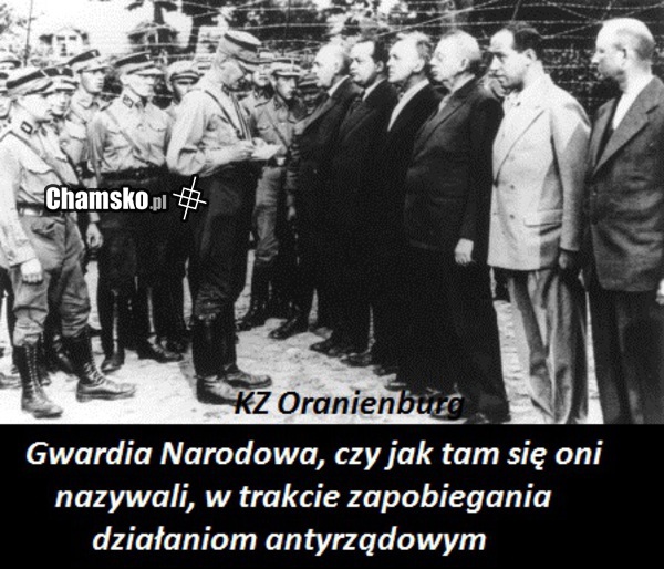 wyslużone maciory się ubija