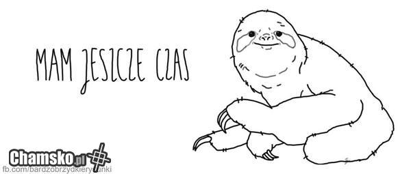 całe życie