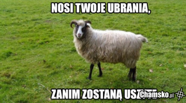 hipster