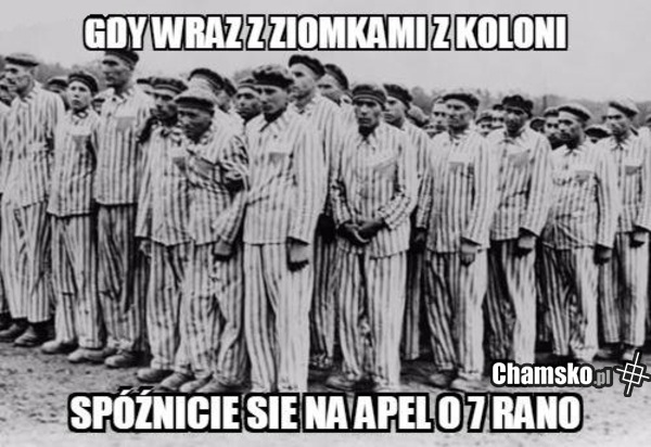 Apel