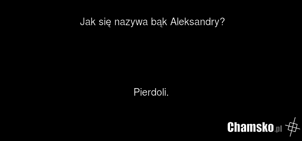 Jak się nazywa bąk Aleksandry? Pierdoli.
