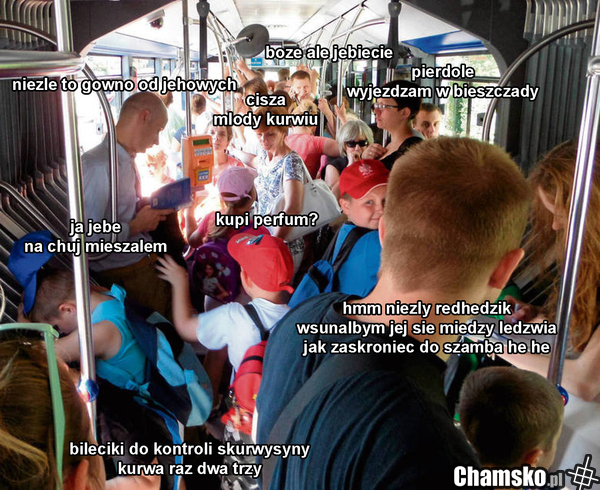 CEBULOBUS