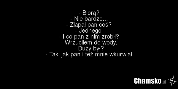 - Biorą? - Nie bardzo... - Złapał pan coś? - Jednego - I co pan z nim zrobił? - Wrzuciłem do wody. - Duży był? - Taki jak pan i też mnie wkurwiał