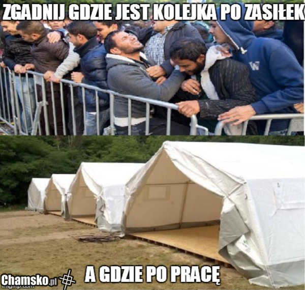 imigranci bardzo chcą pracować
