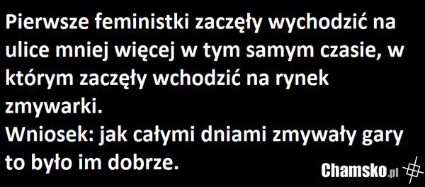 feministki