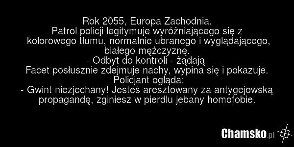 Rok 2055, Europa Zachodnia. Patrol policji legitymuje wyróżniającego się z kolorowego tłumu, normalnie ubranego i wyglądającego, białego mężczyznę. - Odbyt do kontroli - żądają Facet posłusznie zdejmuje nachy, wypina się i pokazuje. Policjant ogląda: - Gwint niezjechany! Jesteś aresztowany za antyg…
