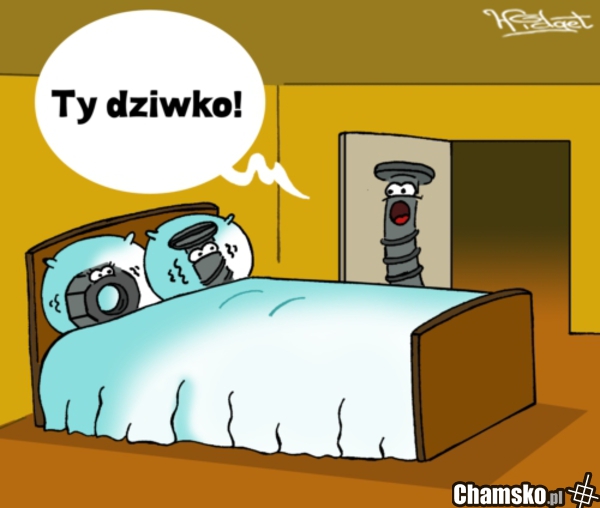 Ty dziwko!