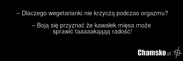 – Dlaczego wegetarianki nie krzyczą podczas orgazmu? – Boją się przyznać że kawałek mięsa może sprawić taaaaakąąąą radość!